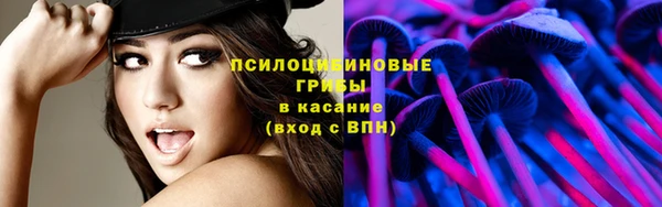 дурь Вязьма