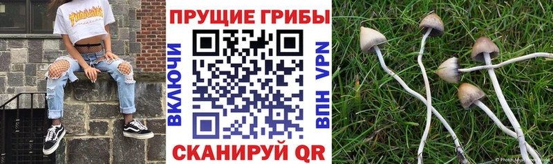 Псилоцибиновые грибы MAGIC MUSHROOMS  KRAKEN вход  Карабаш 